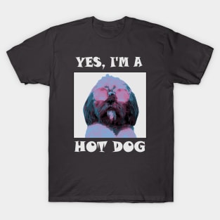 Yes, I'm a HotDog T-Shirt